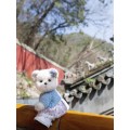 Lina Медведь Незабудка пудинговый цвет с костюмом S (±20 см)