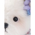 Lina Медведь Незабудка пудинговый цвет с костюмом XS (±15 см)