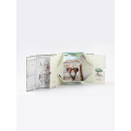 Lina Медведь (короткая шерсть) S (±20 см) латте цвет